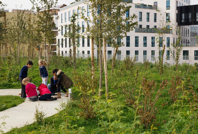 Una escuela de primaria en París fomenta la biodiversidad
